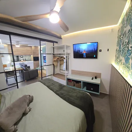 Mocahomes Congreso Downtown Τορρεμολίνος